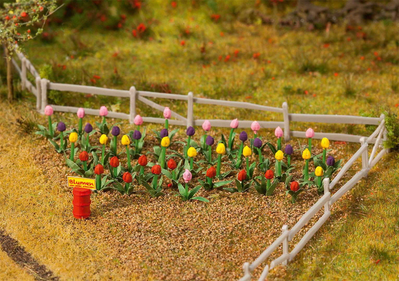 181262 Tulips (36)
