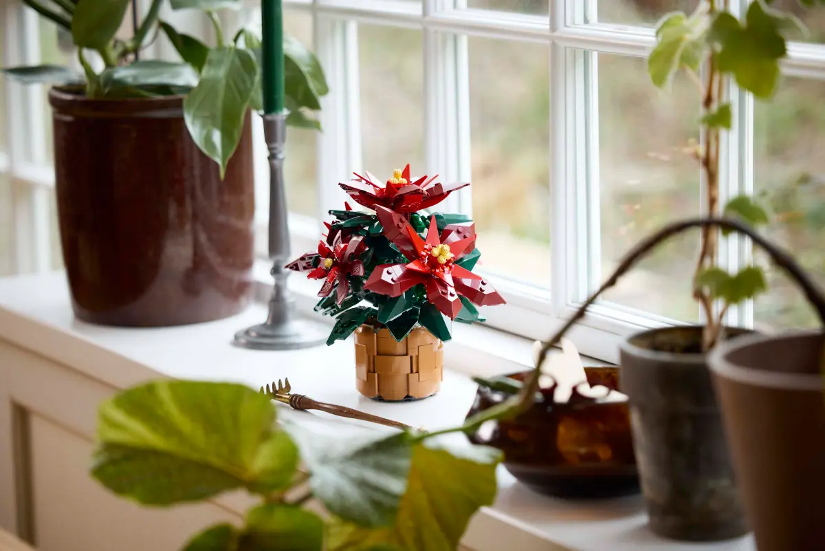 Lego Botanicals Poinsettia - 10370 - Image 5