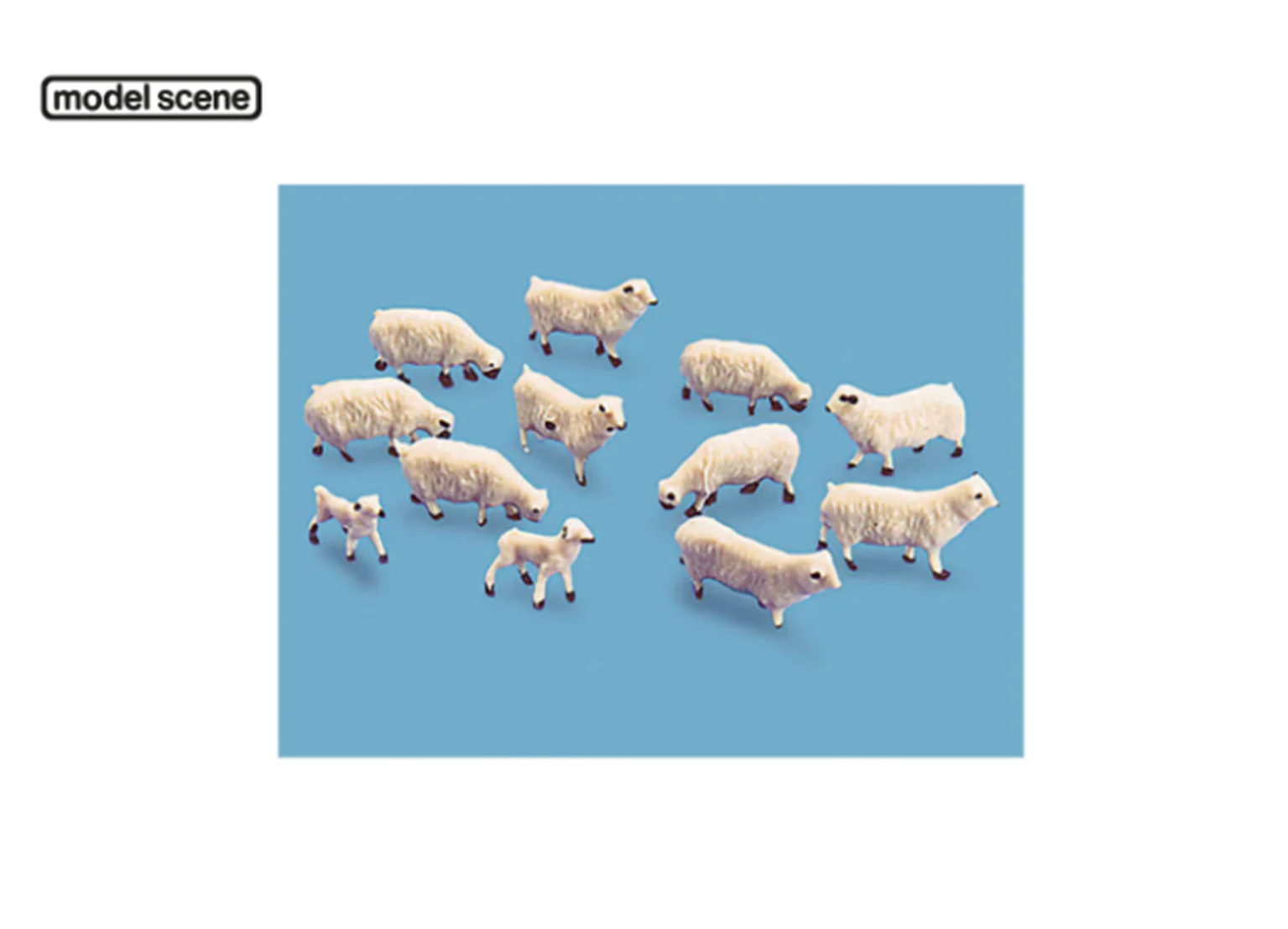 5110 Sheep and Lambs (12 items)