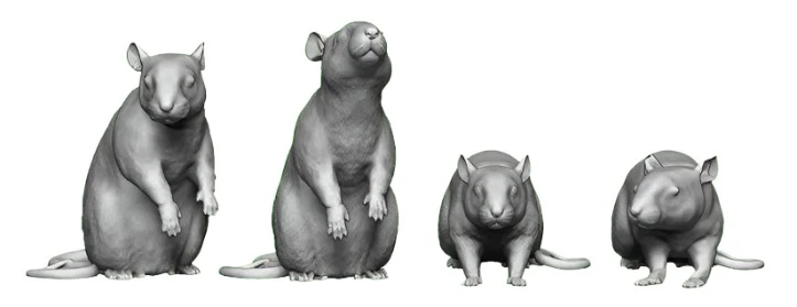 31103-043 O Gauge Pets, Wildlife & Livestock - Rats - Pack of 6