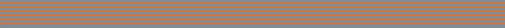 Orange cantrail stripe lining (285mm lengths) Transfers