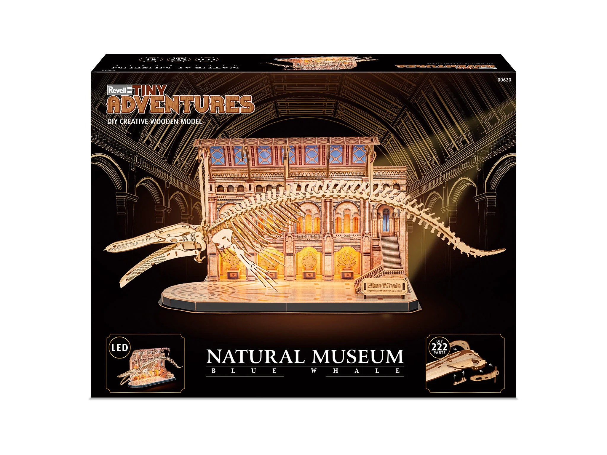 Natural Museum Blue Whale Tiny Adventures Model Kit - Image 2
