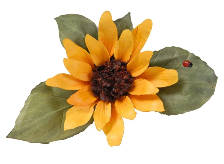 WT4642 T4642 Pollen - Brown - Image 6