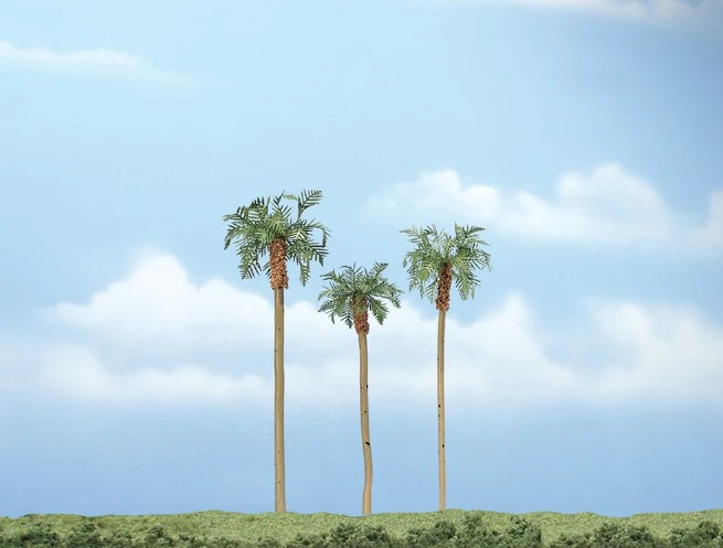 WTR1617 TR1617 Premium Royal Palm Trees 3 - 4 ½ inch (Pack of 3)