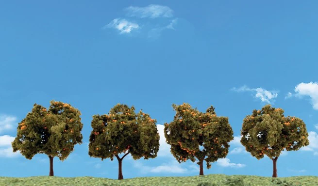 WTR3592 TR3592 2"-3" Classic Orange Trees (4/Pk)